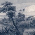 556117 panel