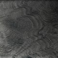 303659 panel