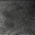 303666 panel