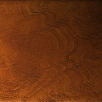 303598 panel 303598 panel