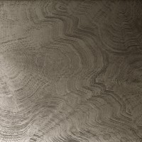 303611 panel 303611 panel