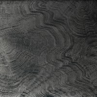303659 panel 303659 panel